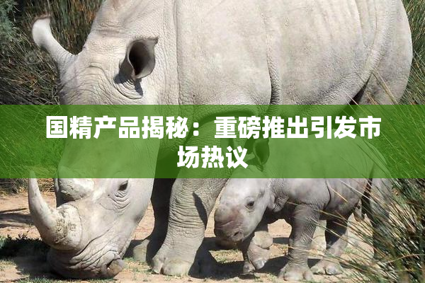 国精产品揭秘：重磅推出引发市场热议