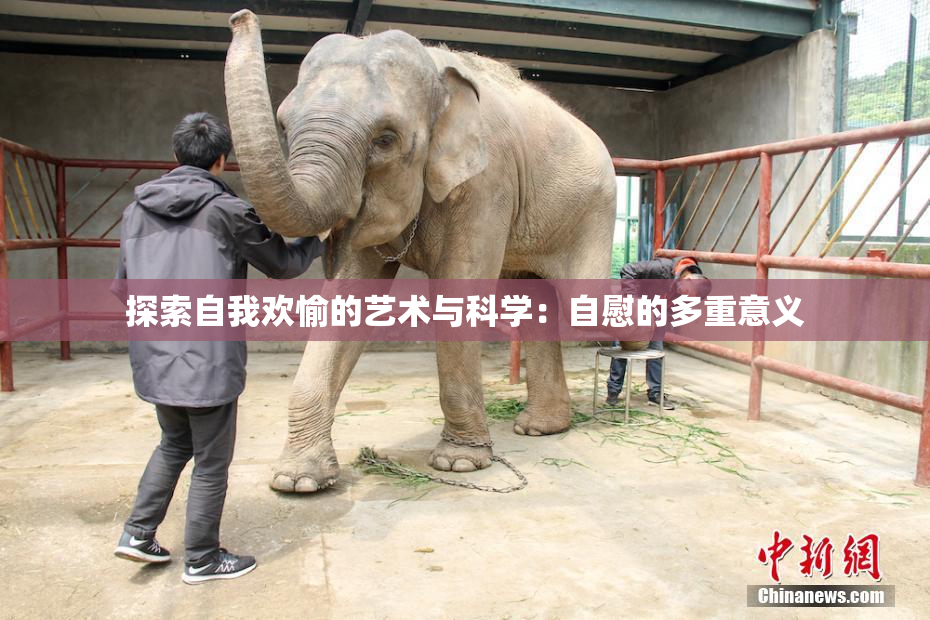 探索自我欢愉的艺术与科学：自慰的多重意义