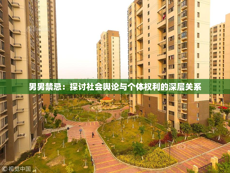 男男禁忌：探讨社会舆论与个体权利的深层关系