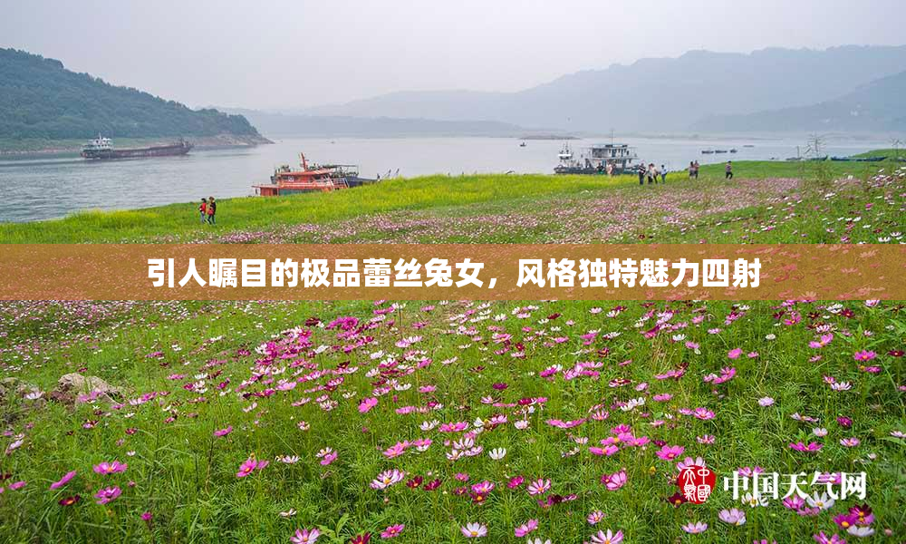 引人瞩目的极品蕾丝兔女，风格独特魅力四射