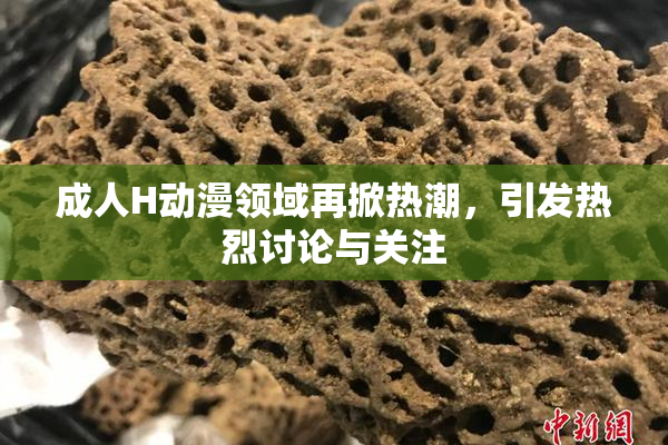 成人H动漫领域再掀热潮，引发热烈讨论与关注