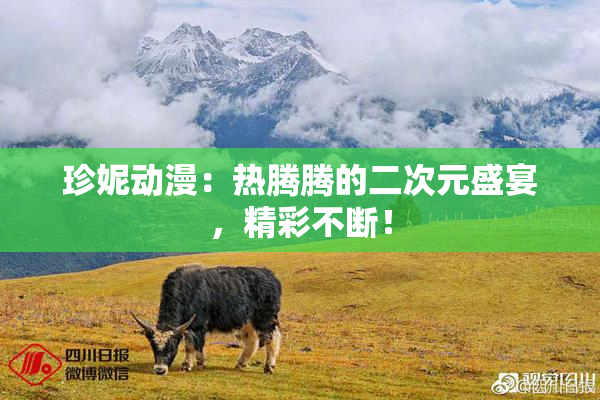 珍妮动漫：热腾腾的二次元盛宴，精彩不断！