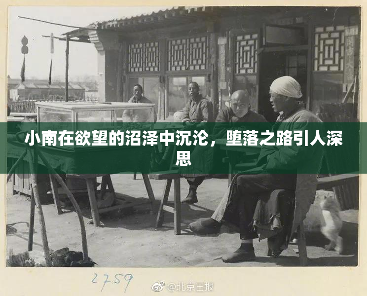 小南在欲望的沼泽中沉沦，堕落之路引人深思