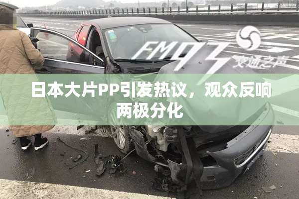 日本大片PP引发热议，观众反响两极分化