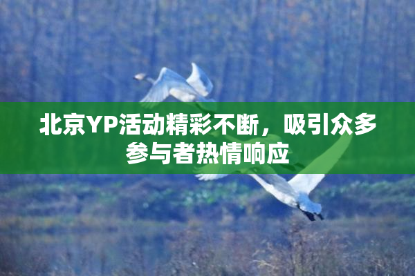 北京YP活动精彩不断，吸引众多参与者热情响应