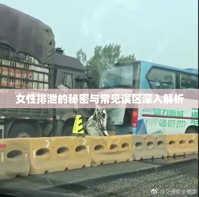 女性排泄的秘密与常见误区深入解析
