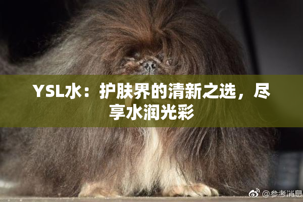 YSL水：护肤界的清新之选，尽享水润光彩