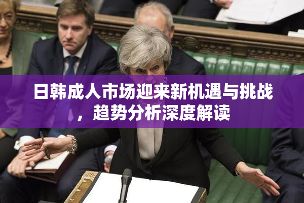 日韩成人市场迎来新机遇与挑战，趋势分析深度解读