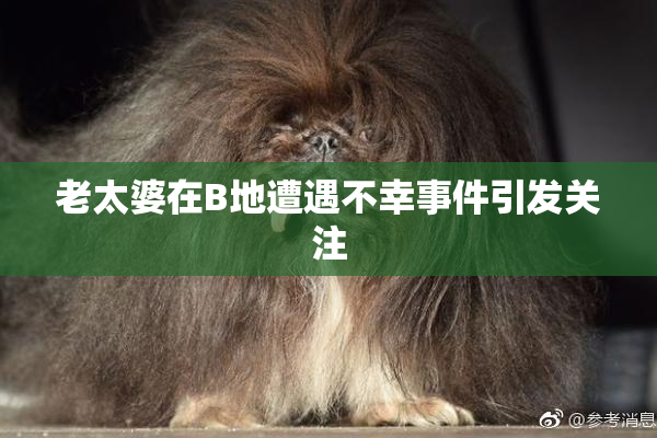 老太婆在B地遭遇不幸事件引发关注