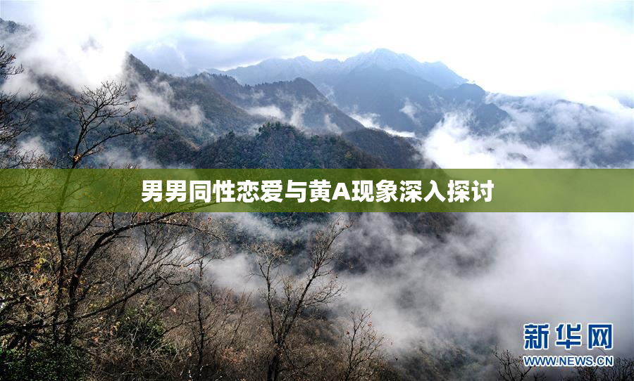 男男同性恋爱与黄A现象深入探讨