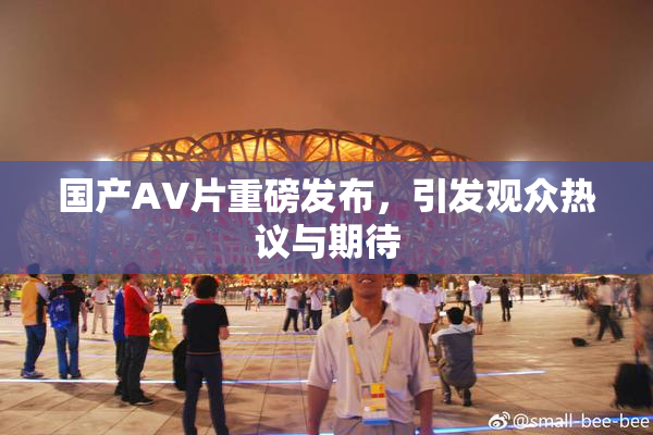 国产AV片重磅发布，引发观众热议与期待