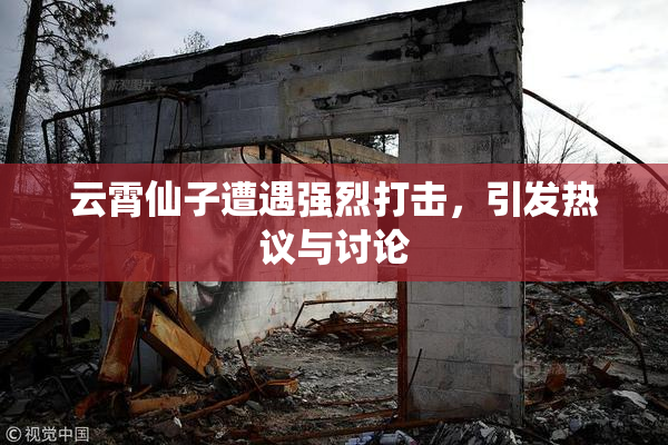 云霄仙子遭遇强烈打击，引发热议与讨论