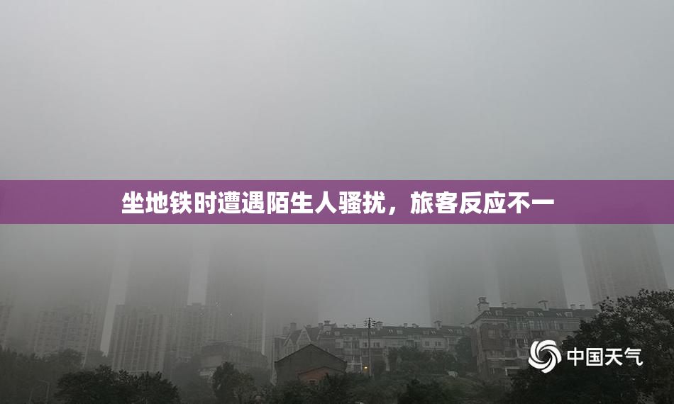 坐地铁时遭遇陌生人骚扰，旅客反应不一