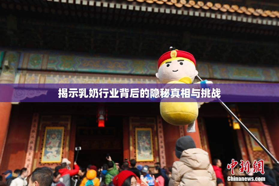 揭示乳奶行业背后的隐秘真相与挑战