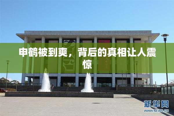 申鹤被到爽，背后的真相让人震惊
