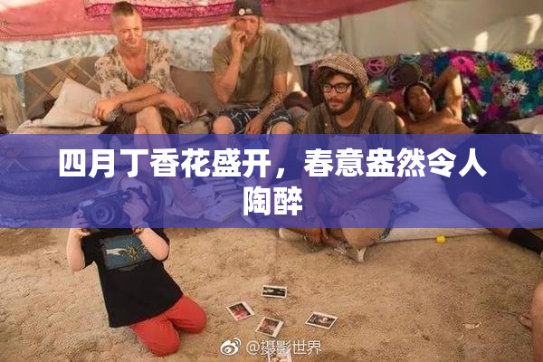 四月丁香花盛开，春意盎然令人陶醉