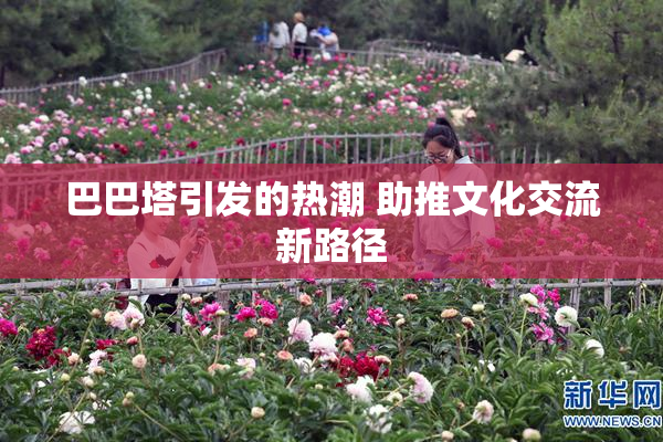 巴巴塔引发的热潮 助推文化交流新路径