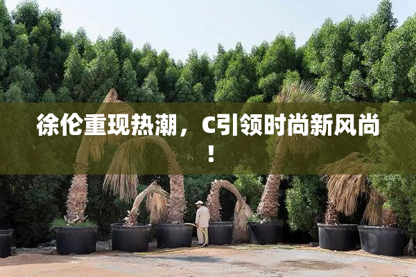 徐伦重现热潮，C引领时尚新风尚！