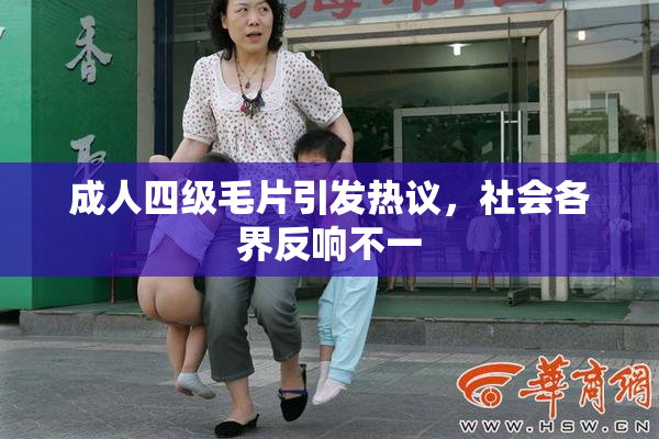 成人四级毛片引发热议，社会各界反响不一