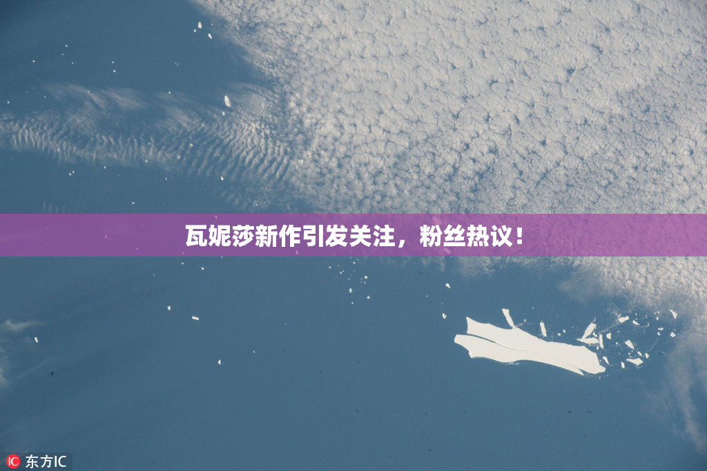 瓦妮莎新作引发关注，粉丝热议！