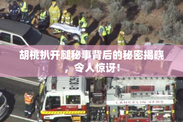胡桃扒开腿秘事背后的秘密揭晓，令人惊讶！