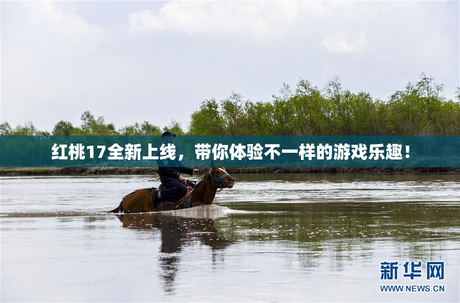 红桃17全新上线，带你体验不一样的游戏乐趣！