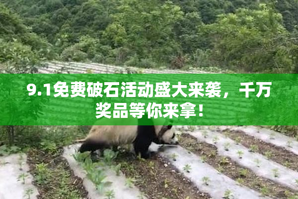 9.1免费破石活动盛大来袭，千万奖品等你来拿！