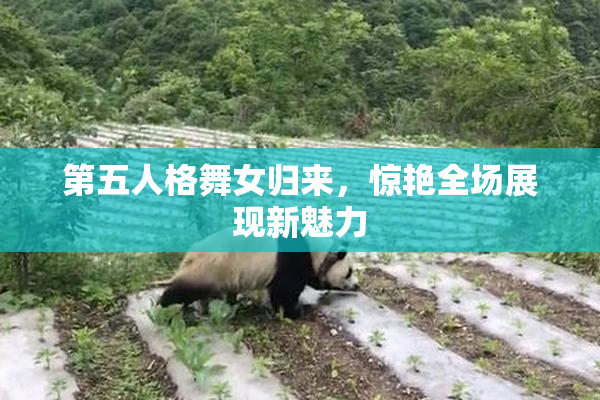 第五人格舞女归来，惊艳全场展现新魅力