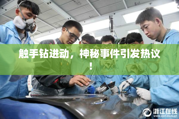 触手钻进动，神秘事件引发热议！