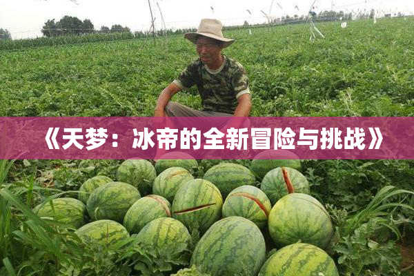 《天梦：冰帝的全新冒险与挑战》