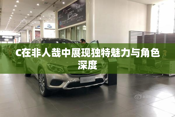 C在非人哉中展现独特魅力与角色深度