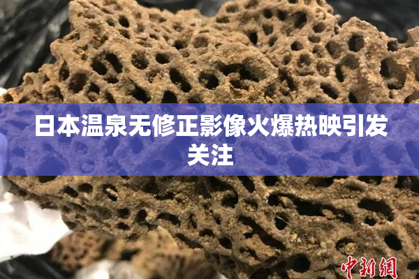 日本温泉无修正影像火爆热映引发关注