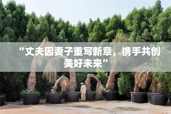 “丈夫因妻子重写新章，携手共创美好未来”