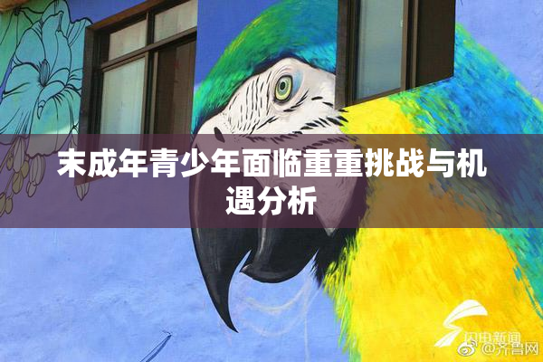 末成年青少年面临重重挑战与机遇分析
