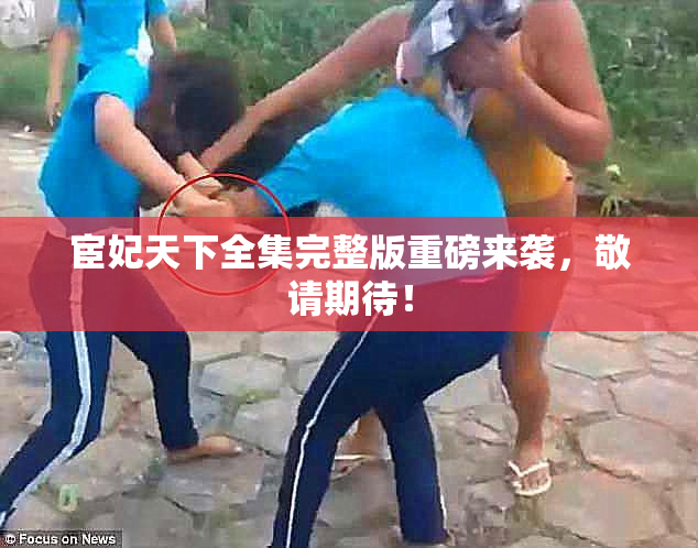 宦妃天下全集完整版重磅来袭，敬请期待！