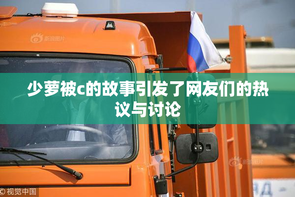 少萝被c的故事引发了网友们的热议与讨论