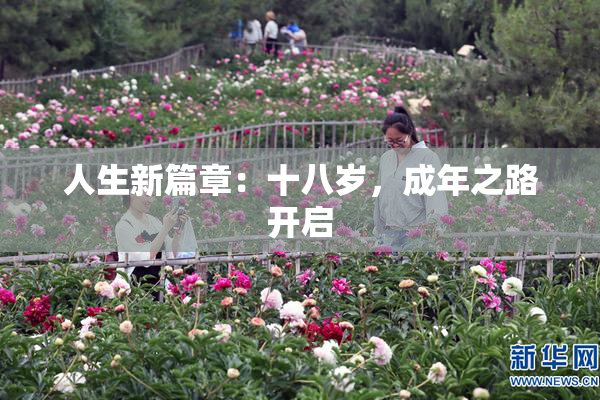 人生新篇章：十八岁，成年之路开启