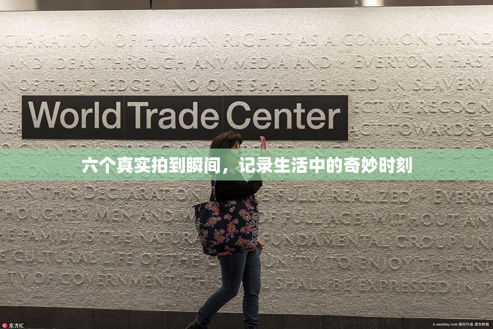 六个真实拍到瞬间，记录生活中的奇妙时刻