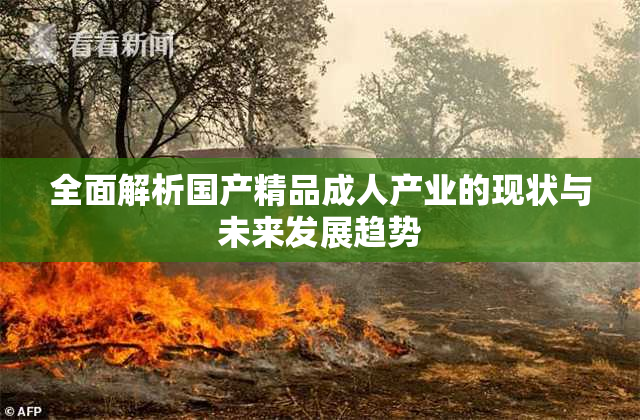 全面解析国产精品成人产业的现状与未来发展趋势