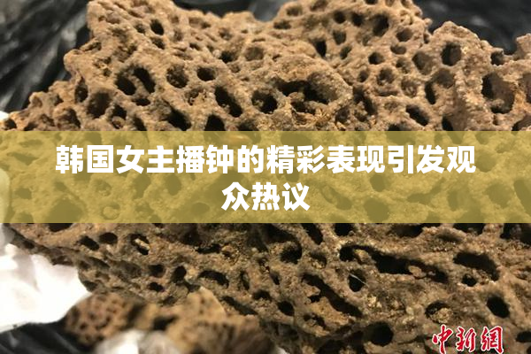 韩国女主播钟的精彩表现引发观众热议