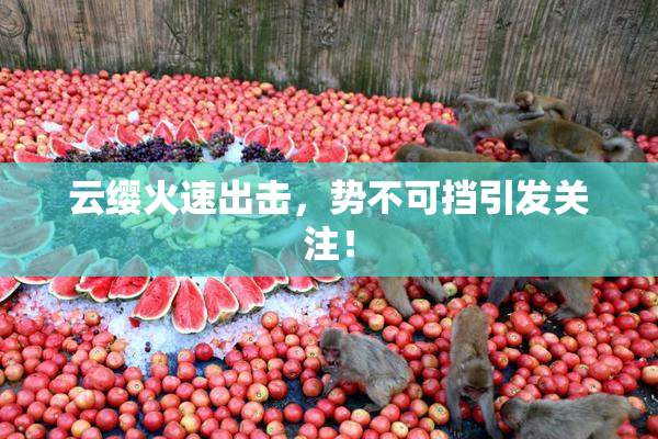 云缨火速出击，势不可挡引发关注！