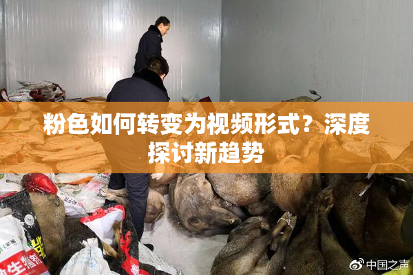 粉色如何转变为视频形式？深度探讨新趋势