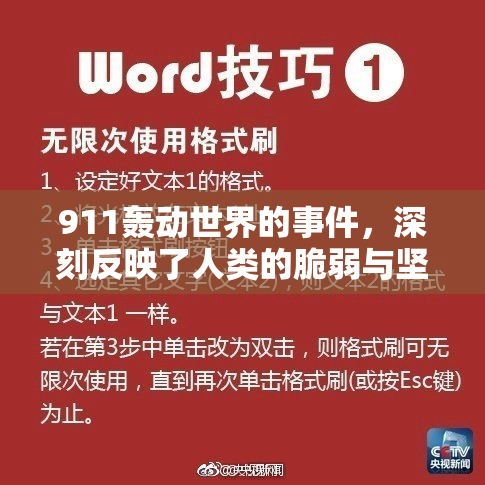 911轰动世界的事件，深刻反映了人类的脆弱与坚韧。