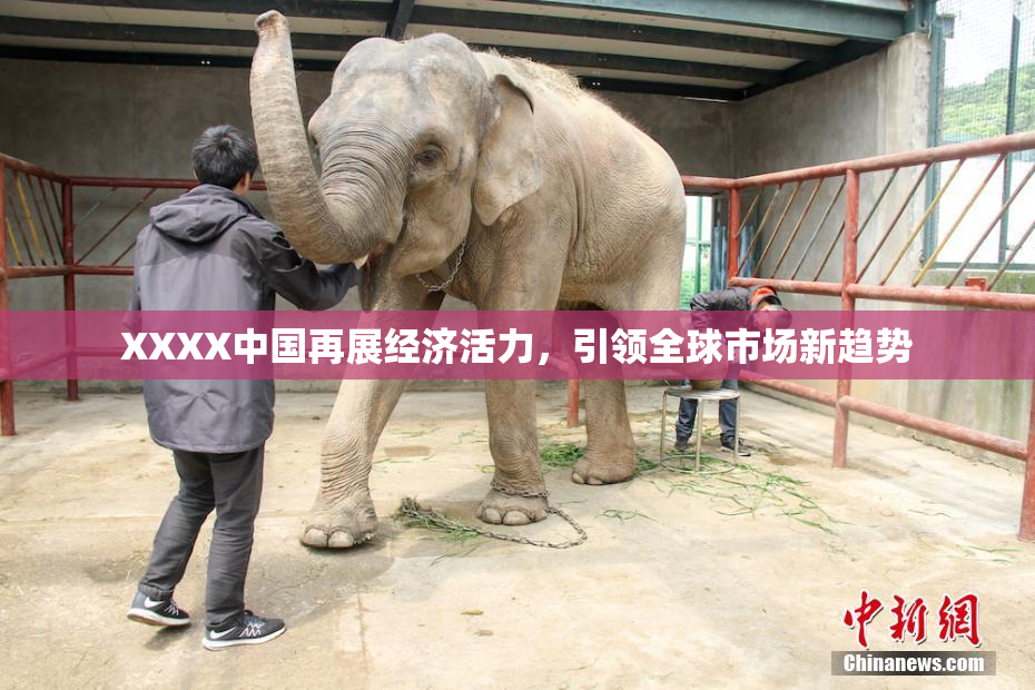 XXXX中国再展经济活力，引领全球市场新趋势