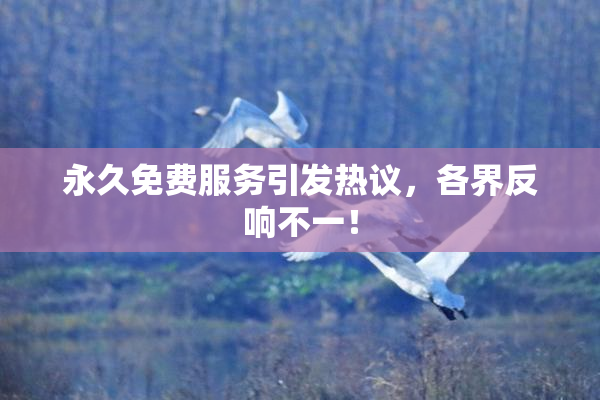 永久免费服务引发热议，各界反响不一！