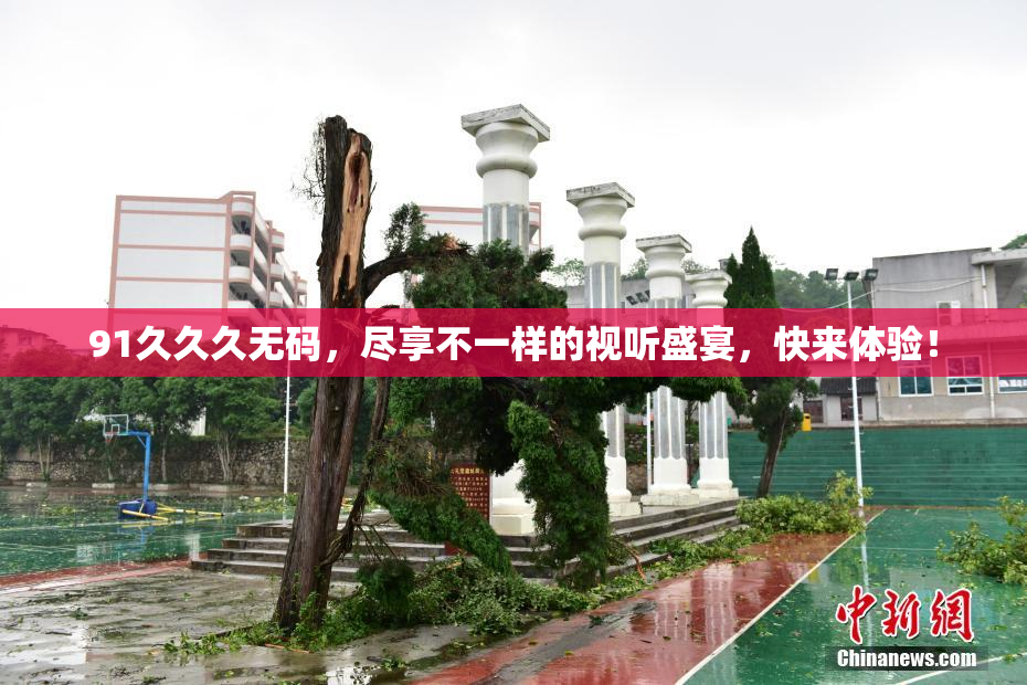 91久久久无码，尽享不一样的视听盛宴，快来体验！