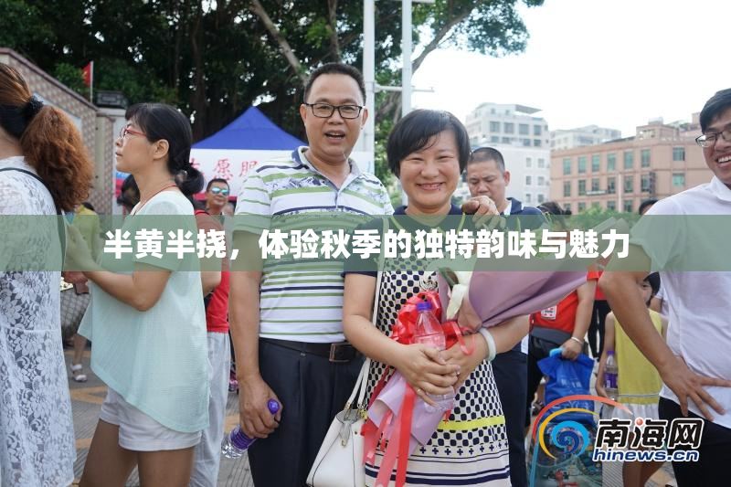 半黄半挠，体验秋季的独特韵味与魅力