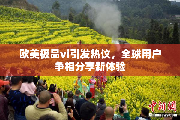 欧美极品vi引发热议，全球用户争相分享新体验