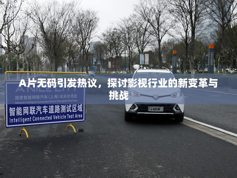 A片无码引发热议，探讨影视行业的新变革与挑战