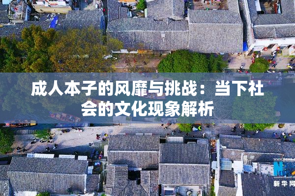 成人本子的风靡与挑战：当下社会的文化现象解析